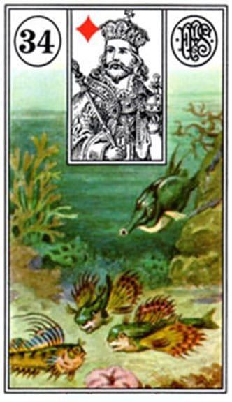 Carta Zingara 34: il Pesce - Tarocchi della Zingara